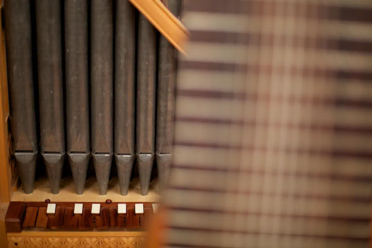 Tape-guitare et organetto